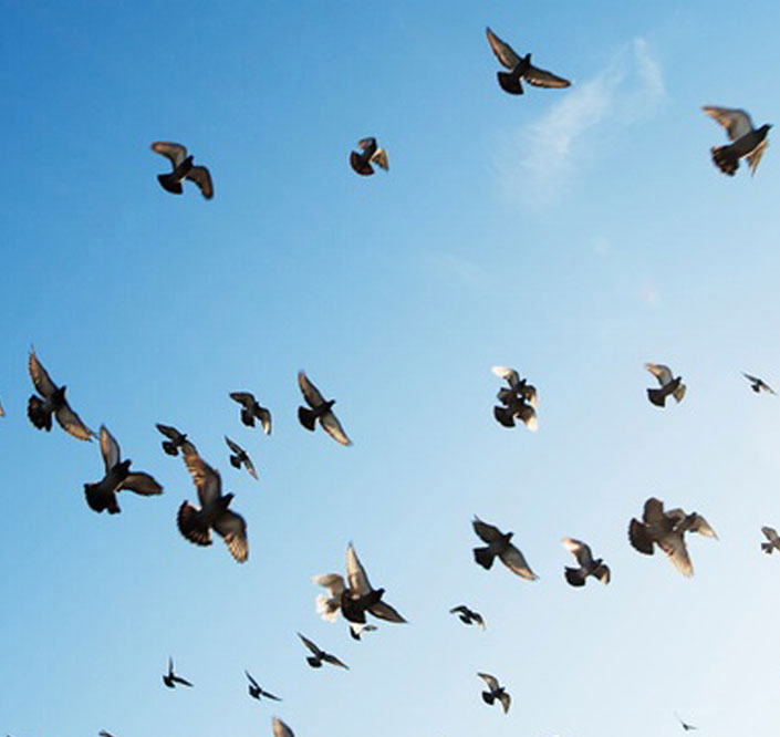 Führung und Coaching