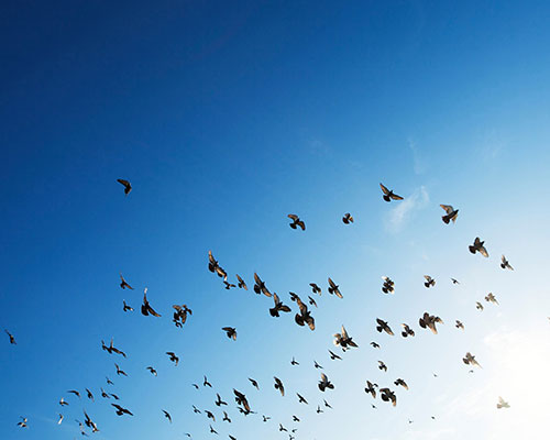 Führung im Gespräch